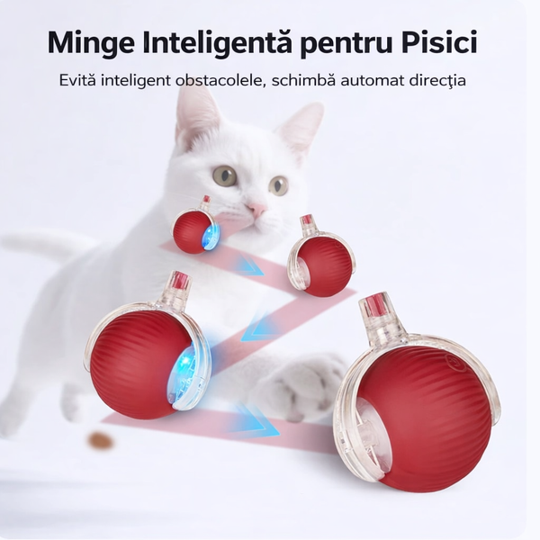 Minge Interactivă Inteligentă pentru Pisici
